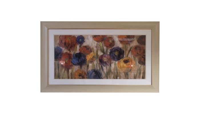 Asters And Mums Picture