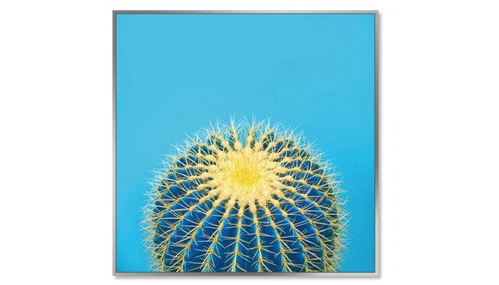 Cacti Picture (blue)