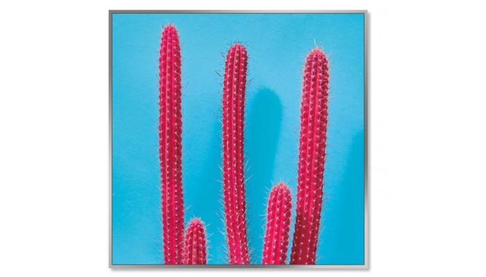 Cacti Picture (pink)