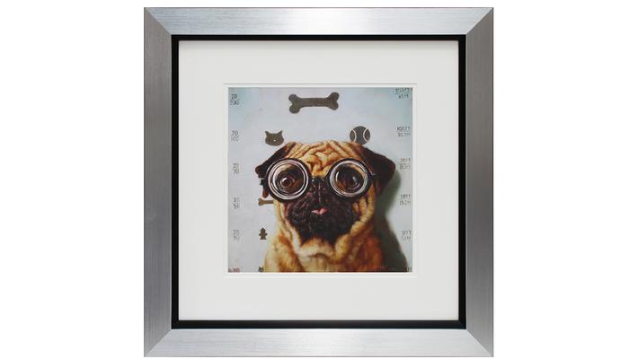 Canine Eye Exam Picture